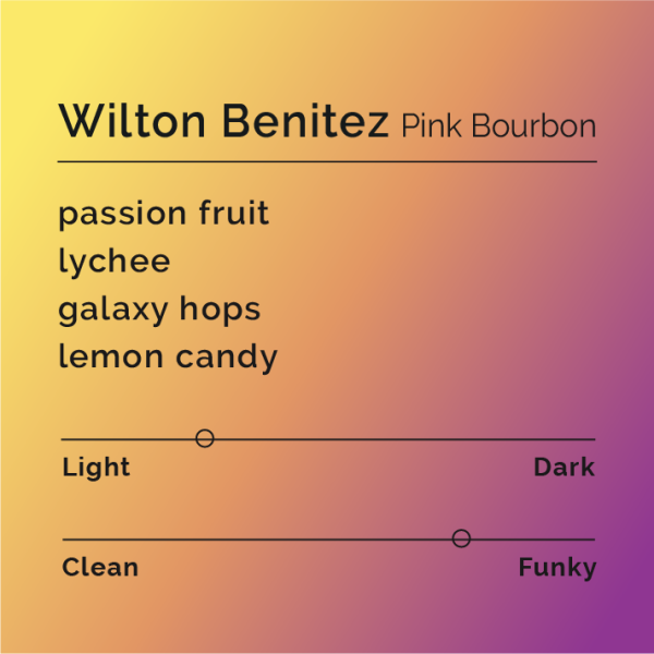 Wilton Benitez Bundle on Sale