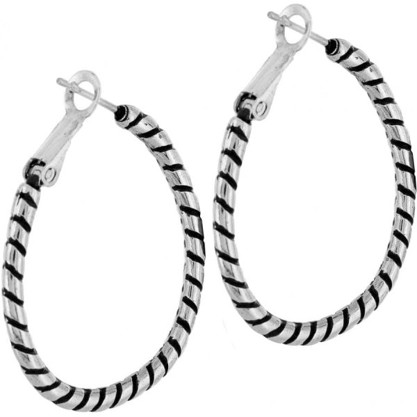 Twist Oval Hoop Charm Earrings Hot on Sale