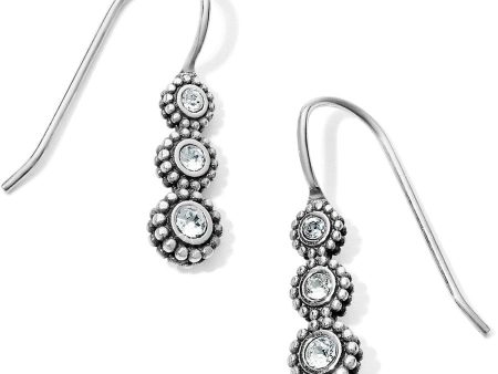 Twinkle Splendor French Wire Earrings Fashion