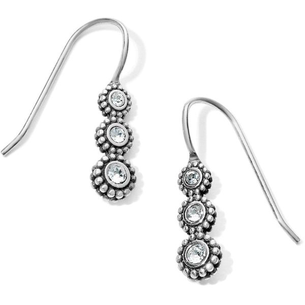 Twinkle Splendor French Wire Earrings Fashion