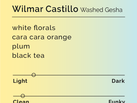 Wilmar Castillo - Washed Gesha For Sale