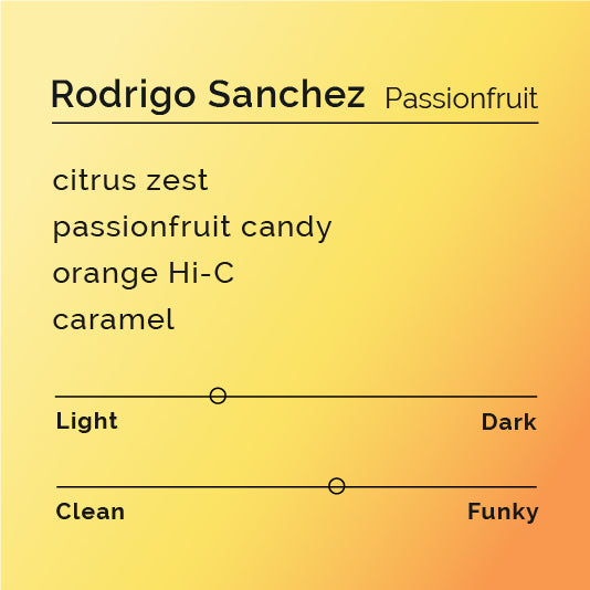 Rodrigo Sanchez - Passionfruit For Sale