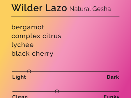 Wilder Lazo - Natural Gesha Discount