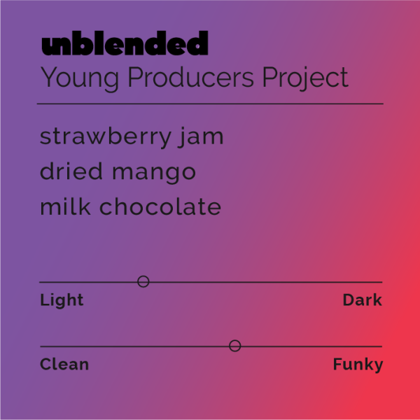 Unblended - Young Producers Project Cheap