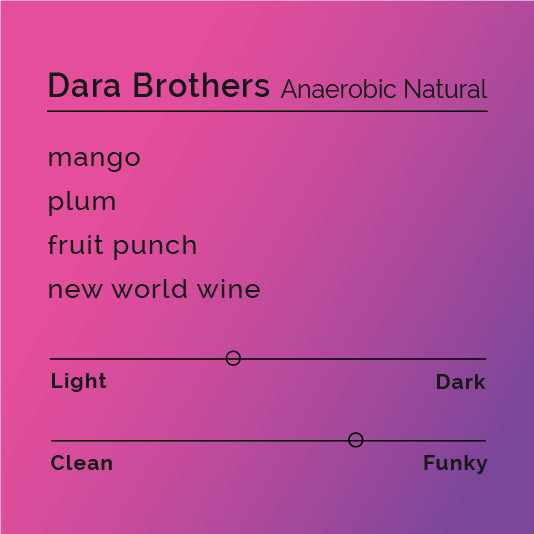 Dara Brothers - Anaerobic Natural Sale