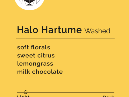 Halo Hartume - Washed For Cheap