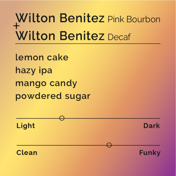 Wilton Benitez Bundle on Sale