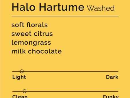 Halo Hartume - Washed Online Sale