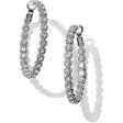 Twinkle Splendor Medium Hoop Earrings For Cheap