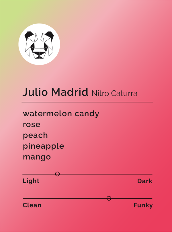 Julio Madrid - Nitro Caturra For Discount