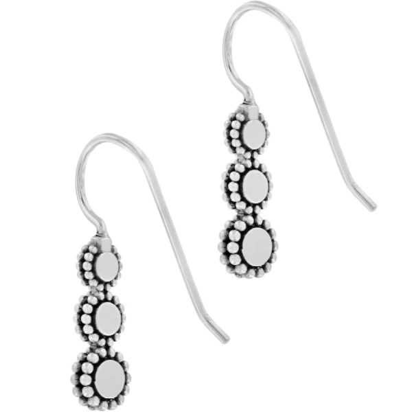 Twinkle Splendor French Wire Earrings Fashion