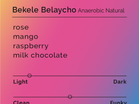 Bekele Belaycho - Anaerobic Natural Online Sale