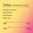 Tulise - Anaerobic Honey Fashion