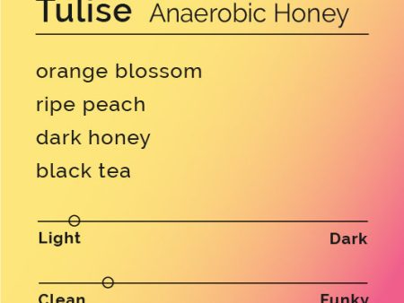 Tulise - Anaerobic Honey Fashion