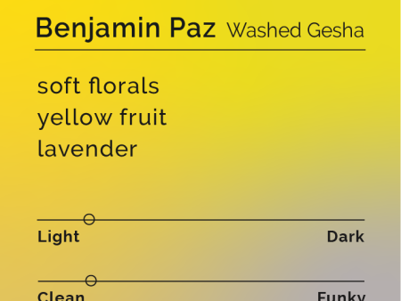 Benjamin Paz - Washed Gesha For Discount