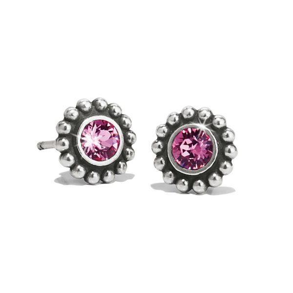 Twinkle Mini Post Earrings Fashion