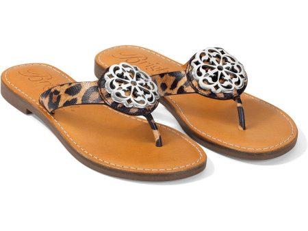 Alice Print Sandals For Discount