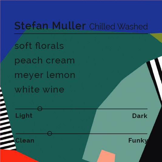 Stefan Muller - Chilled Washed Discount