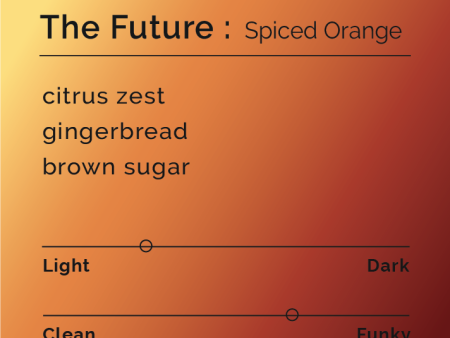 The Future Spiced Orange - Instant Coffee For Sale