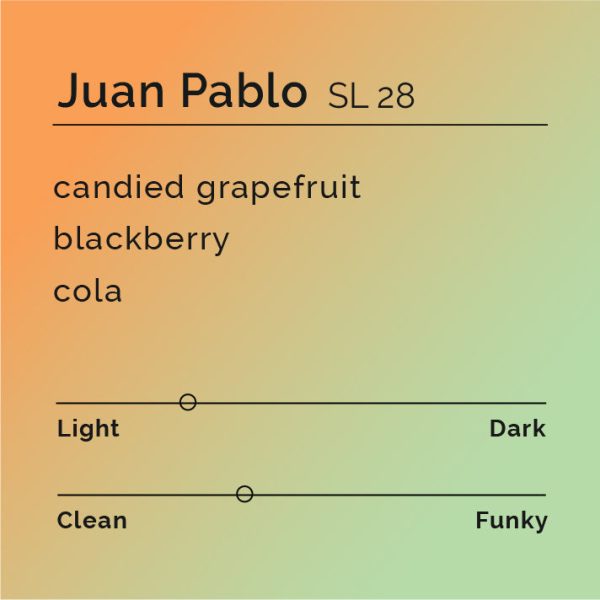 Juan Pablo - SL 28 For Cheap