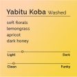 Yabitu Koba - Washed Fashion