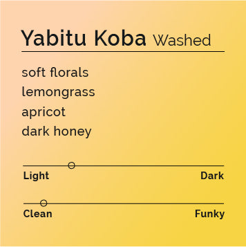 Yabitu Koba - Washed Fashion