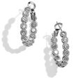 Twinkle Splendor Small Hoop Earrings on Sale