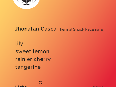 Jhonatan Gasca - Thermal Shock Pacamara on Sale