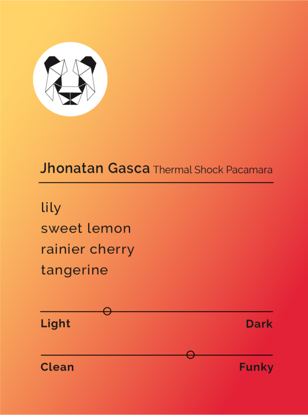 Jhonatan Gasca - Thermal Shock Pacamara on Sale