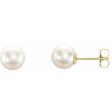 14K Yellow 7 mm Cultured White Akoya Pearl Earrings Supply