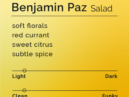 Benjamin Paz - Salad on Sale