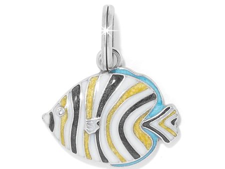 Tropical Fish Charm Supply