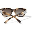 Contempo Dot Sunglasses Hot on Sale