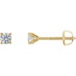 14K Yellow 1 3 CTW Natural Diamond Cocktail-Style Earrings Fashion