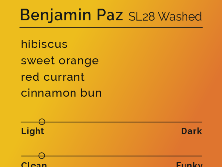 Benjamin Paz - SL28 Washed Online Sale