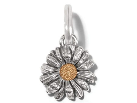 Daisy Dee Charm Hot on Sale