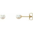 14K Yellow 4 mm Cultured White Akoya Pearl Earrings Fashion