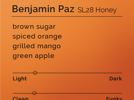 Benjamin Paz - SL28 Honey Online Hot Sale