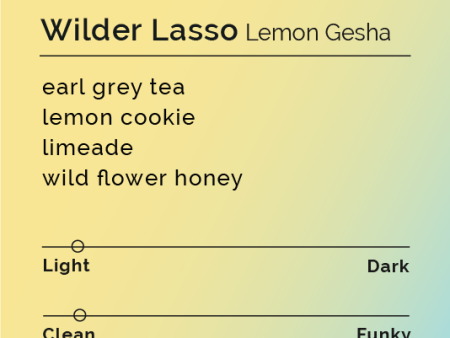 Wilder Lasso - Lemon Gesha For Cheap