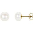 14K Yellow Panache® Cultured White Freshwater Pearl Stud Earrings Online Hot Sale