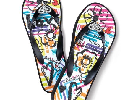 Moda Flip Flops Online now