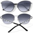 Toledo Alto Sunglasses Online