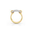 Two Tone Luxe Link Ring Fashion