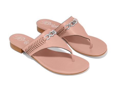 Noelle Flat Sandals For Sale