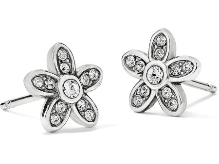 Baroness Fiori Mini Post Earrings Online Hot Sale