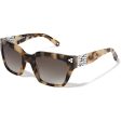 Contempo Dot Sunglasses Hot on Sale