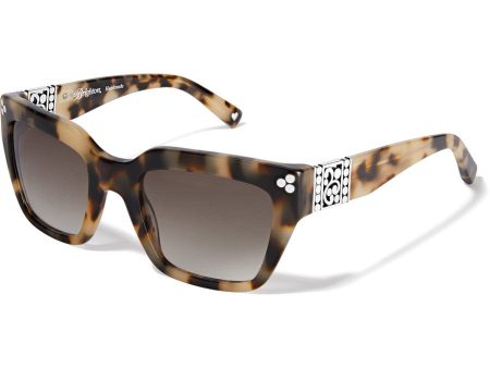 Contempo Dot Sunglasses Hot on Sale