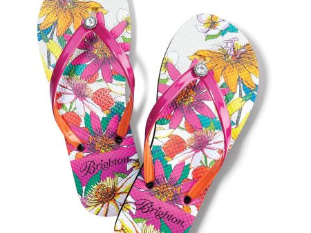 Maui Flip Flops Supply