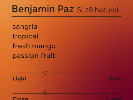 Benjamin Paz - SL28 Natural Hot on Sale