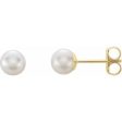 14K Yellow 5 mm Cultured White Akoya Pearl Earrings Online Hot Sale